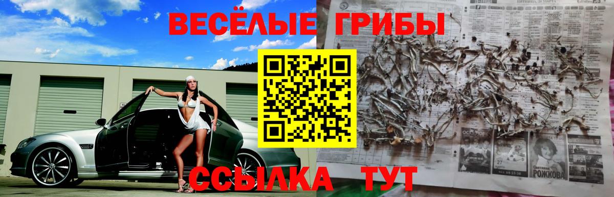 Грязи  цена   Вход с VPN  Псилоцибиновые грибы ЛСД 